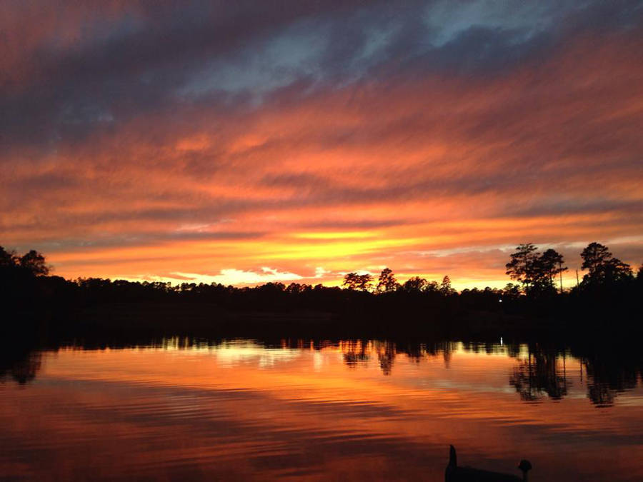 Town of Meadville Image Gallery Town of Meadville, MS